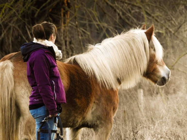 Kalmane ezelcoaching